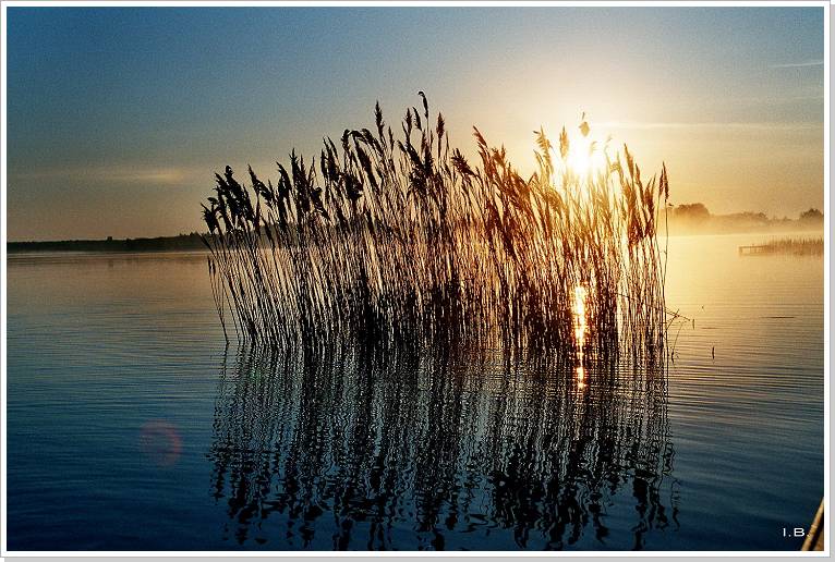 Diashowbild