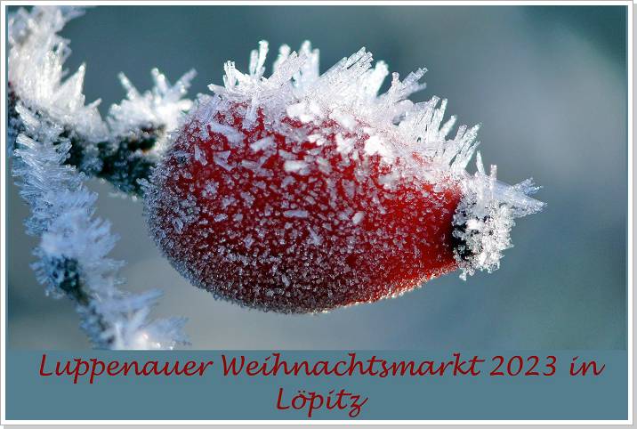 Diashowbild